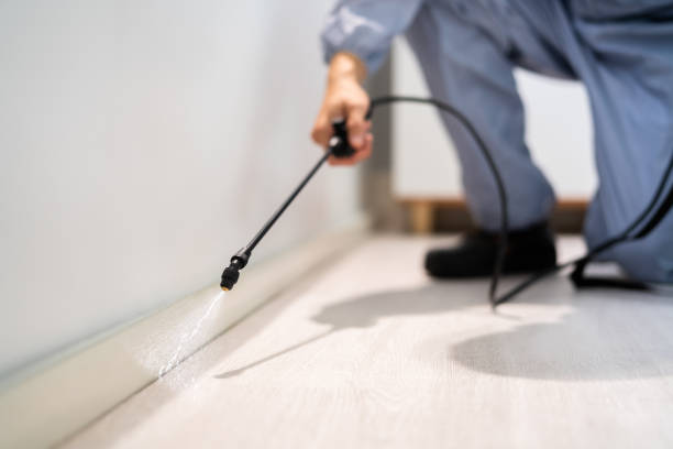 Licensed Pest Control service in SUNY Oswego, NY - Show Me Pest Control