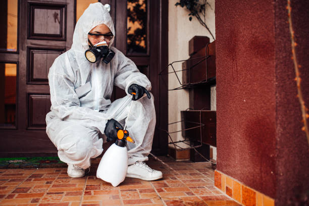 Multi-Unit and Airbnb Bed Bug Protocol in SUNY Oswego
