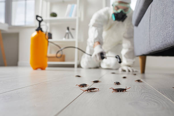 Post-Treatment Bed Bug Interceptor Monitoring in SUNY Oswego